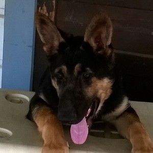 Meet your Posher, Jason